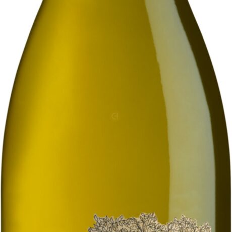 DREAMING TREE CHARDONNAY