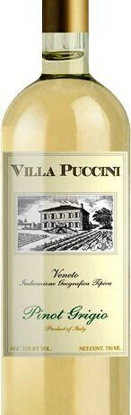 VILLA PUCCINI PINOT GRIGIO