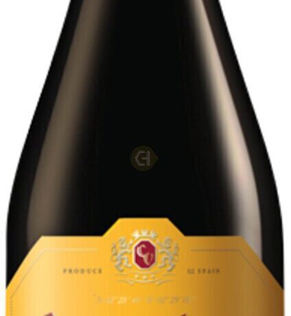 CAMPO VIEJO RIOJA GARNACHA