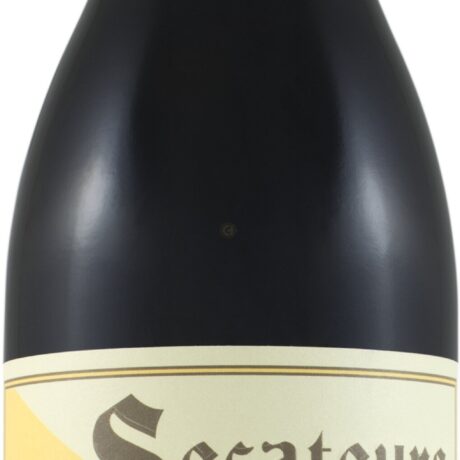 AA BADENHORST SECATEURS RED